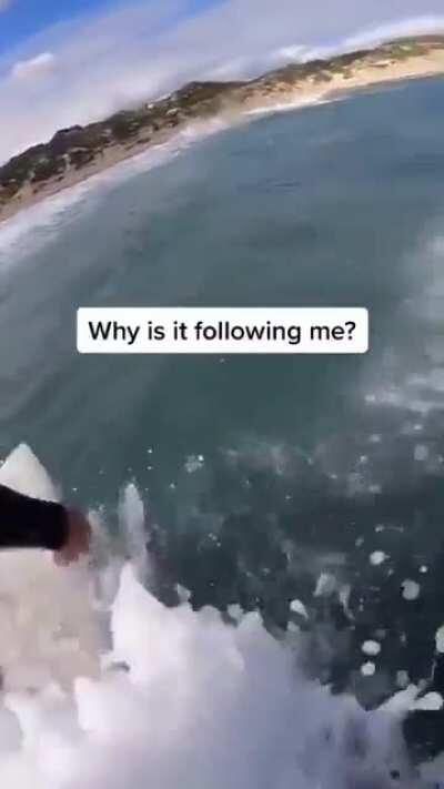 WoW that’s so cute! 😍