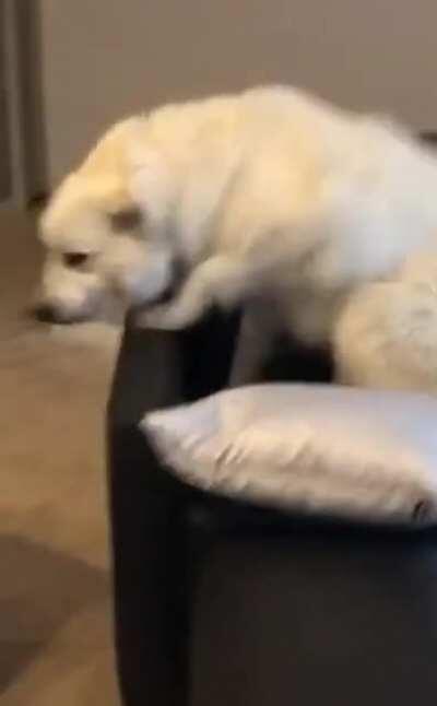 Brenda is the fashion police