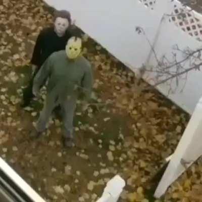 this is 100 % factual