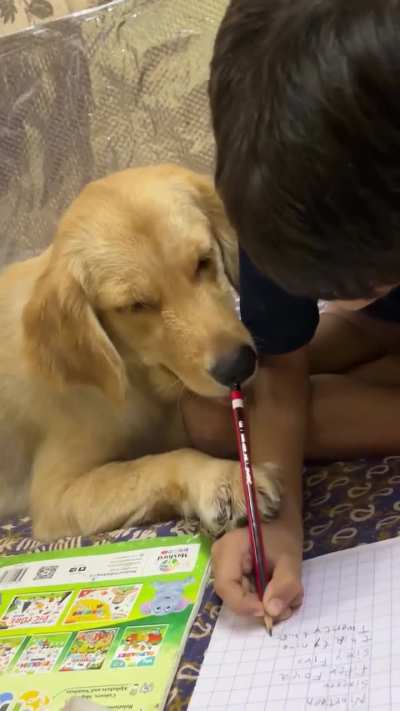 Learning with my furry friend