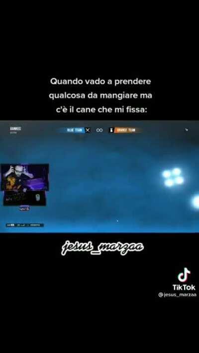 Signori questa è la lingua degli dei