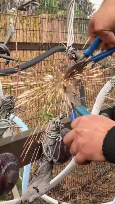 where is this taught?