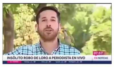 Loro 