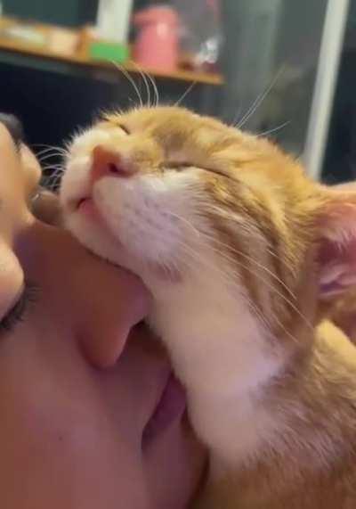 She loves coming to me so much to be petted