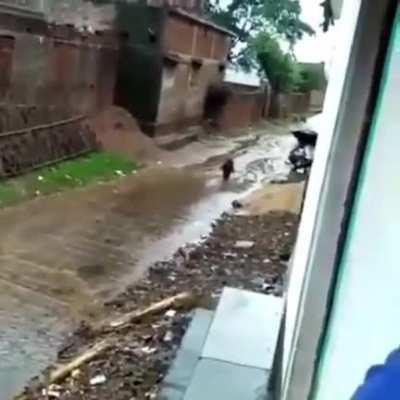 Attempted kidnapping!