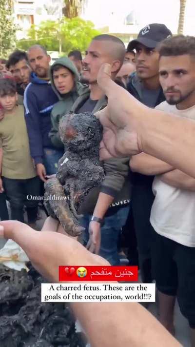 Temporary Ceasefire..