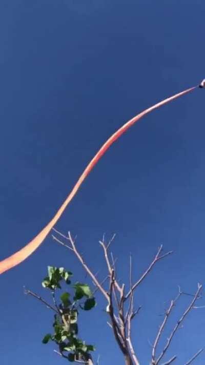 To fly a kite