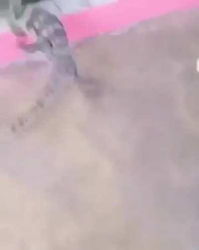 Follow Your Instinct Bro