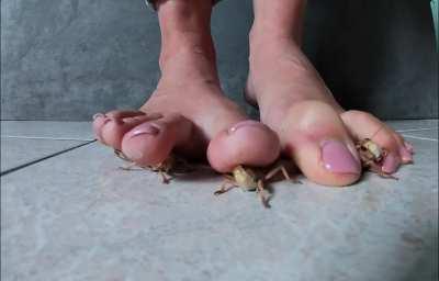 a close-up... I love it! you won't escape 😏