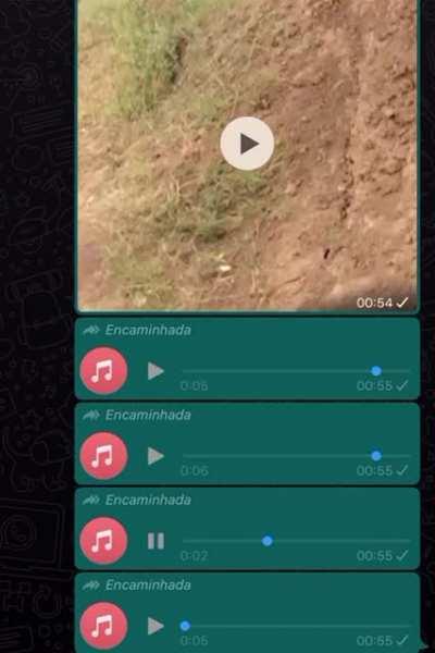 Nota 10 pq eu ri pra krl