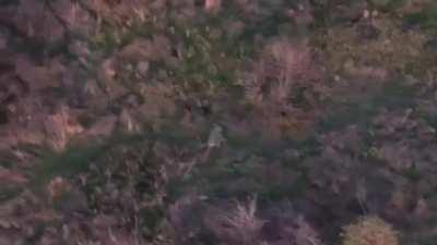 Armed Ukrainian drone chasing fleeing Russian soldier