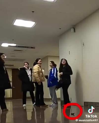 I'm fiscally responsible 