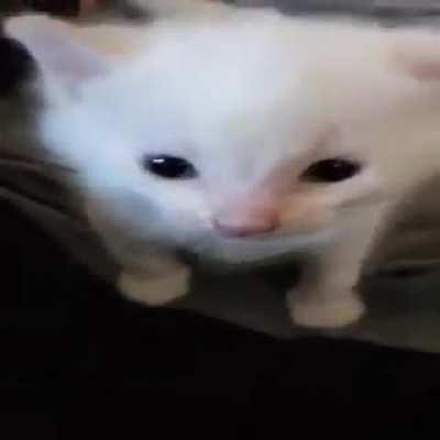 bomb has been planted