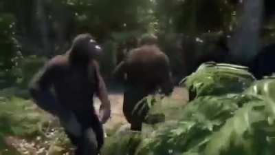 Apes yea boy