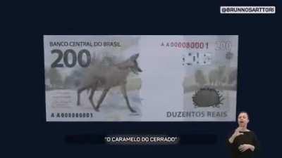 Perdeu e ficou puto (Quibei dnv)