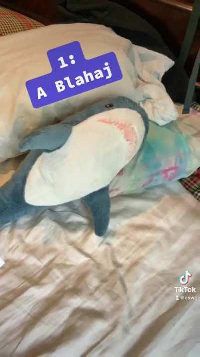 It’s really all you need :3