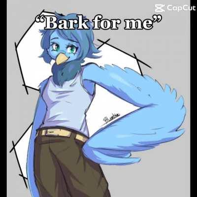 I would never bark for anyone 