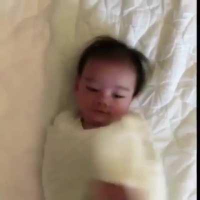 terriFyINg MONsTEr bREakS FREe of rEStRaInTS, huMANS caN'T CONtRoL IT!