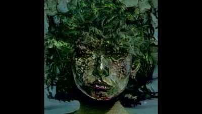 Alright, where did they go