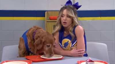 Air Bud - SNL
