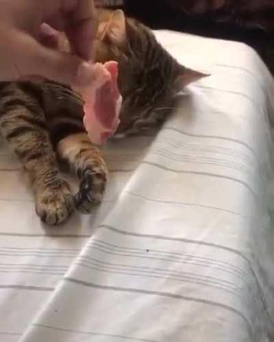 What was that smell?