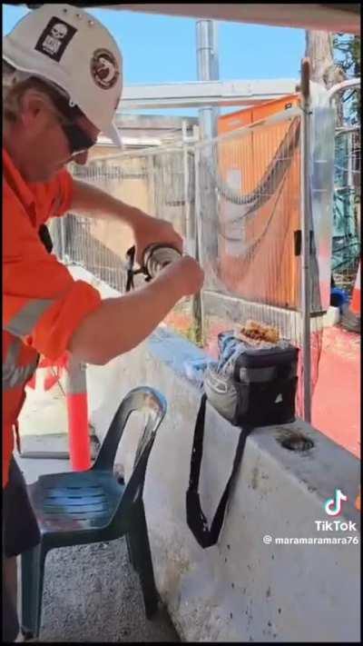 Traffic controller loses his lunch