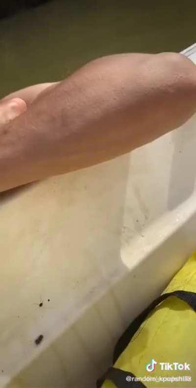 dropping the kids off at the... lake