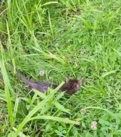 Just went out for fishing ... this might be enough for a meal.