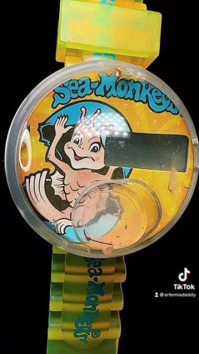 The Sea Monkeys Aquarium Watch