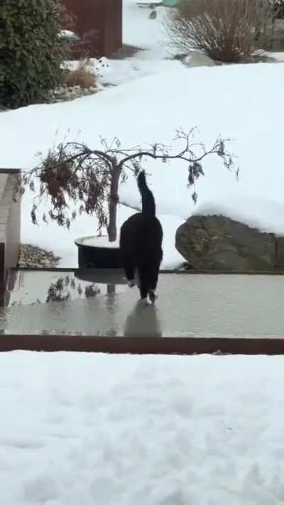 He’s ready for his ice skating debut