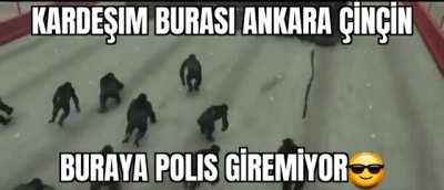 Gardaş biz mahallemizi koruyok🦍🦍