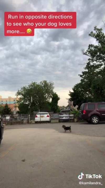 When that “Who does your dog love more?” trick causes great malfunction 😆😂 that poor dog lmao