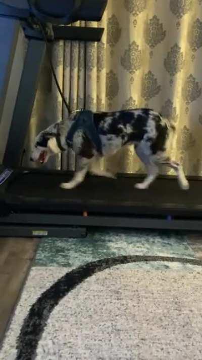 Getting extra night energy out