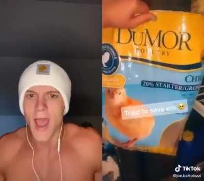 Abusing Cute Animals For Clout