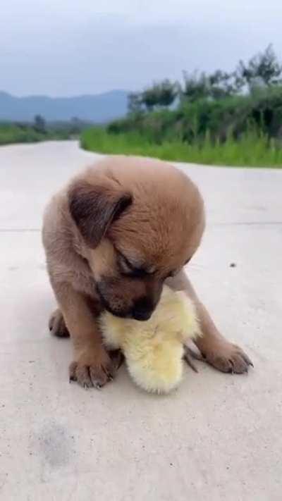 When you become sleepy