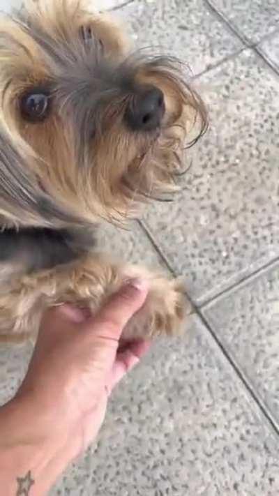 All I Need Is A Miracle