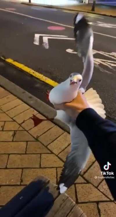 This may have already been posted