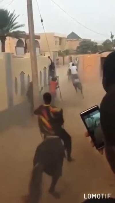 The stupidest horse racing in the world is an incredible sight