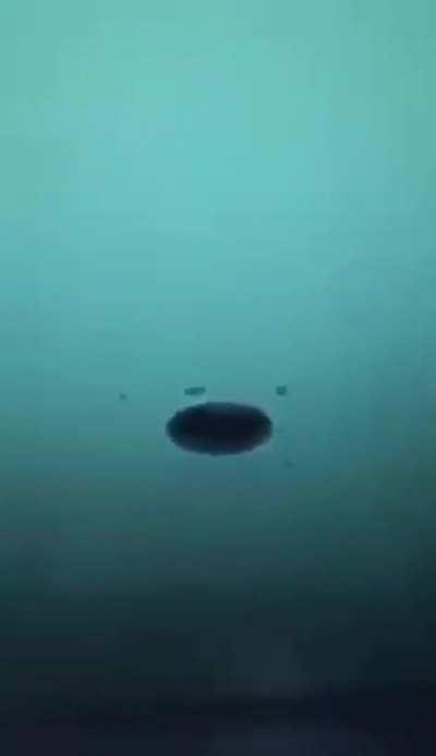 ⚠️ don't put in anywhere 🔥🔥