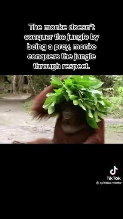 We all need to learn from this