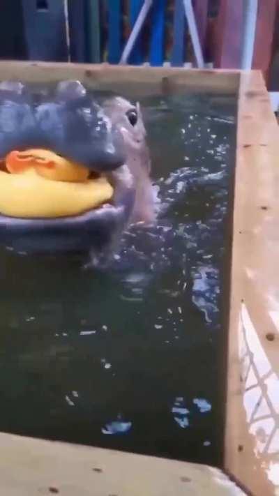 What a cutie pie ❤️