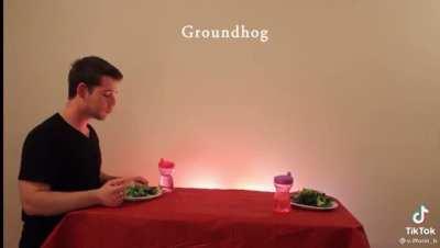 How animals eat their food