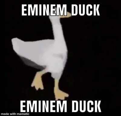 EMINEM GOOSE