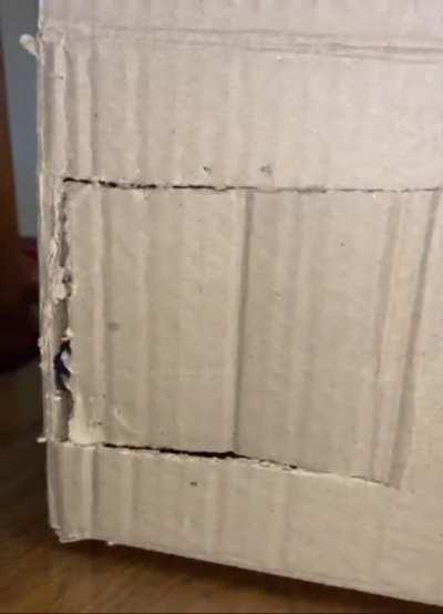 Knock Knock... anybody home