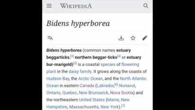 Hyperborea