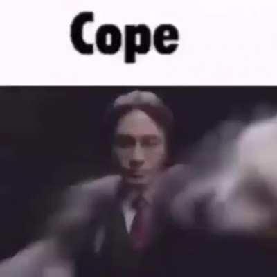 Chat whenever xqc tries to say literally anything.