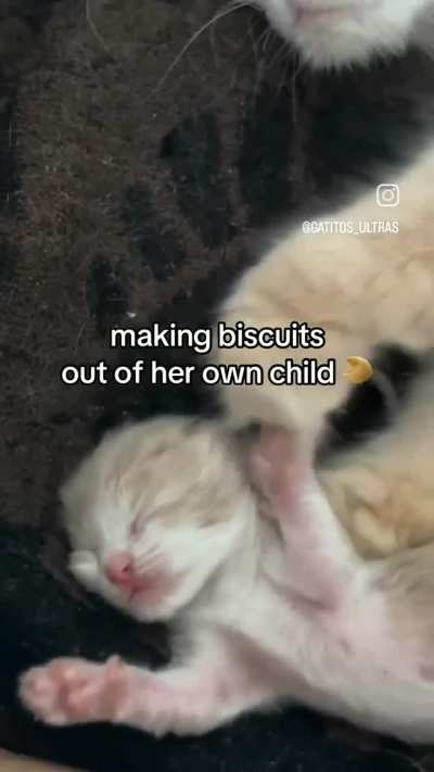 He will be made into biscuits.