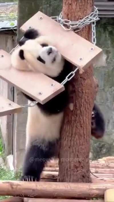 Therefore threatened with extinction