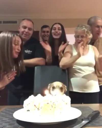 Happy birthday to you