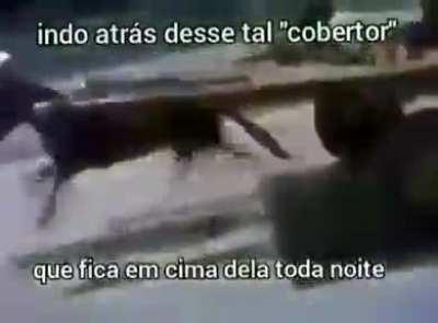 Quem que é esse cara?